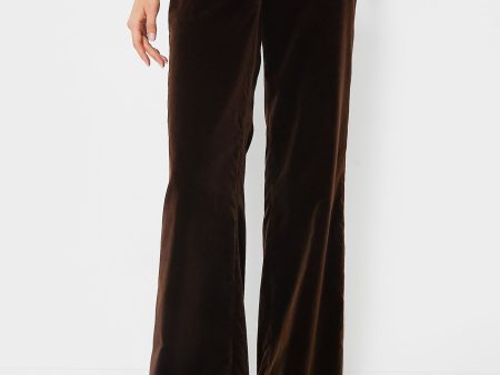 Circuit Brown Velvet Pant Fashion