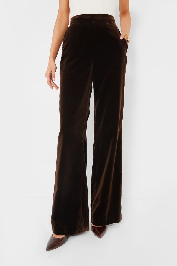 Circuit Brown Velvet Pant Fashion