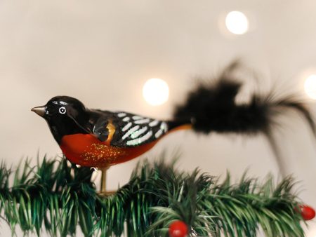 Glass Ornament - Baltimore Oriole Discount